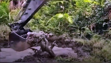 VIDEO: Máquina excavadora atrapó a una gigantesca anaconda en Brasil
