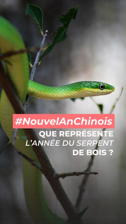 Nouvel an Chinois : ce que signifie l'année du serpent de bois