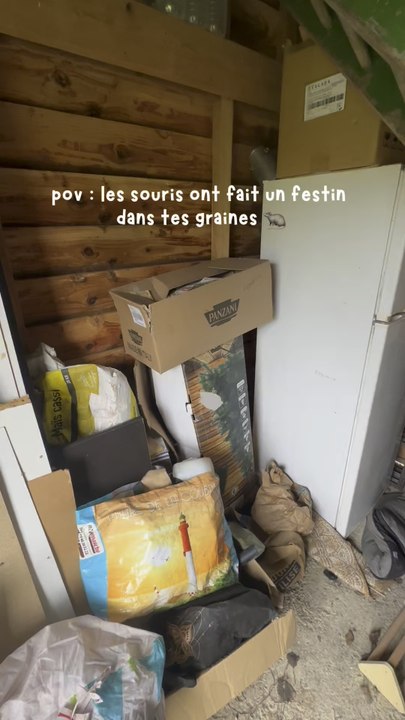 Un gros festin !