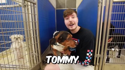 “I Adopted Every Dog 🐕 In A Dog Shelter ❤️ | Ultimate Rescue Challenge”