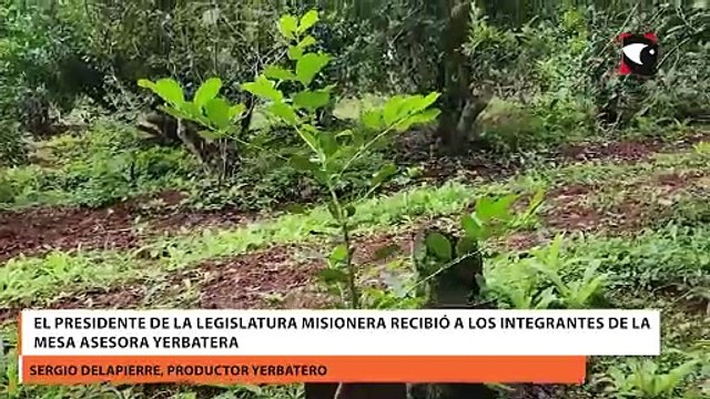 El Presidente de la Legislatura Misionera recibió a los integrantes de la Mesa Asesora Yerbatera