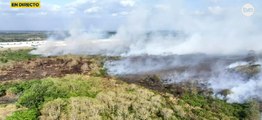 Bomberos de Panamá reportan más de 40 incendios de masa vegetal en lo que va del año