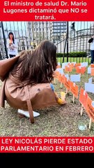 "El silencio también mata": la feroz denuncia contra el gobierno por el bloqueo de la Ley Nicolás