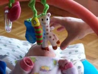 Je tête Sophie la girafe !