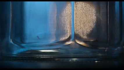 Sting. Araña asesina - Tráiler oficial español