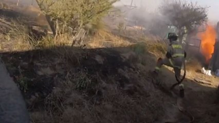 Brave leader shares helpful tips with junior firefighter during Limache forest fire