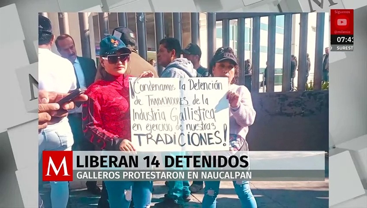 Liberan a 14 detenidos por peleas de gallos en Naucalpan
