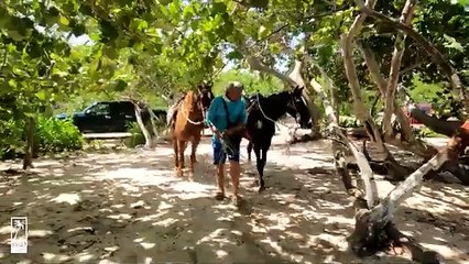 Oasis Land Development Reviews