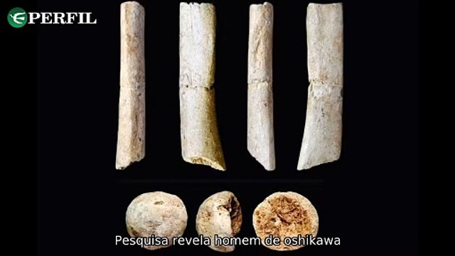 Descobertas surpreendentes: Fóssil humano falso, segredos do Conclave e corrupção milenar revelada