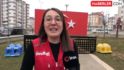 Kızılay Gönüllülerinden Sokak Kedilerine Sıcak Yuva Projesi