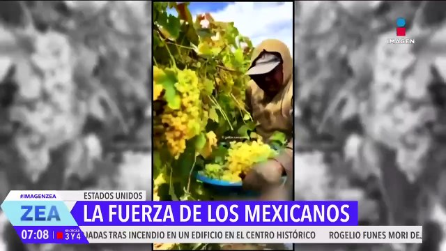 La fuerza de los migrantes mexicanos en Estados Unidos