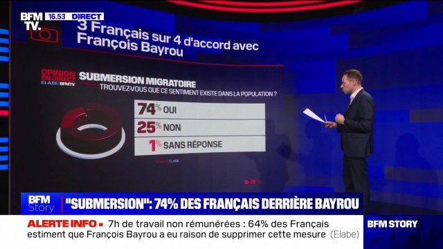 LES ÉCLAIREURS - Submersion migratoire: trois Français sur quatre partagent le constat de François Bayrou