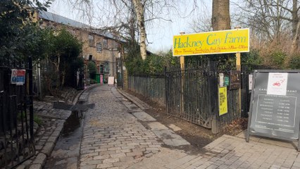 A more sustainable future at Hackney City Farm