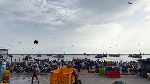 « ils ont pris mon amour… » Paroles de ludovic freppaz