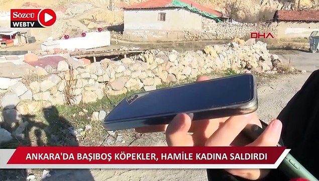 Ankara'da başıboş köpekler, hamile kadına saldırdı