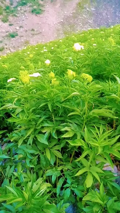 Natural beauty of astore Gilgit baltistan