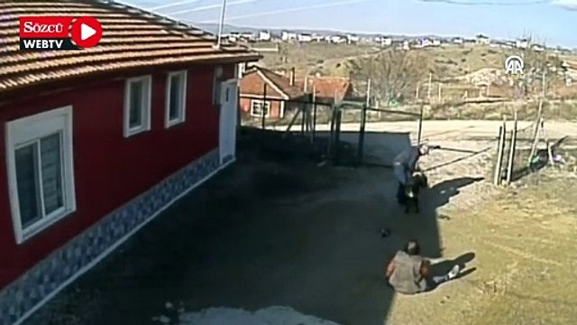 Köpeğin saldırısına uğrayan 3 kişi yaralandı