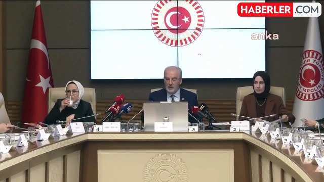 TBMM Kadına Karşı Şiddet ve Ayrımcılığı Araştırma Komisyonu... Prof. Dr. Bulut, Mardin, Ankara ve İstanbul'da Yapılan Araştırma Bulgularını Paylaştı