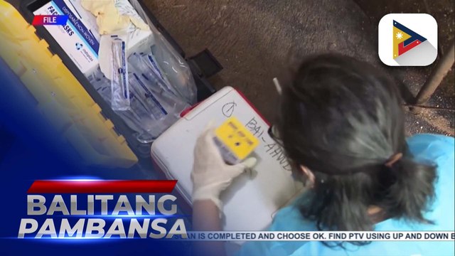 D.A. administers over 32-K doses of ASF vax