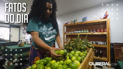 Mercado de orgânicos cresce no Pará, mas desafios limitam expansão