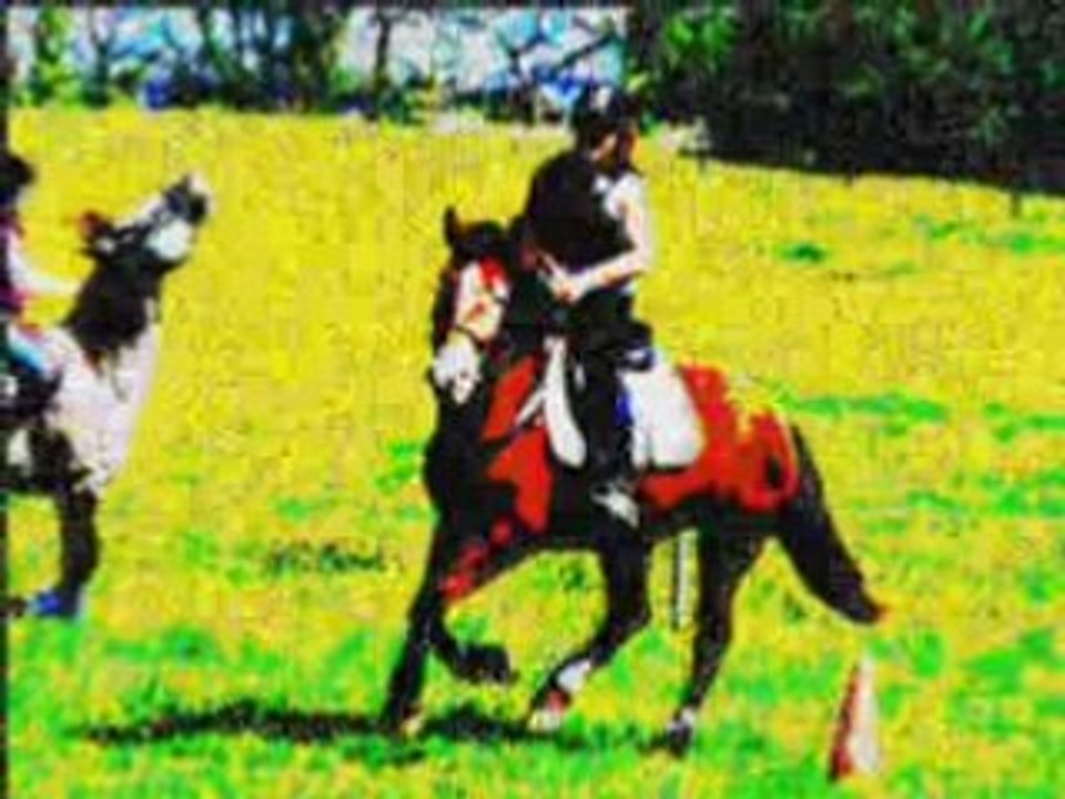 Galop 5_0001