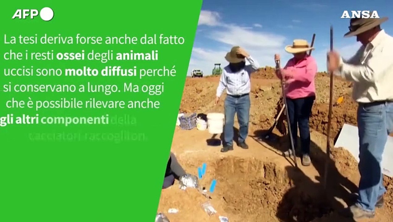 Ansa VERIFIED - E' vero che i nostri antenati mangiavano soprattutto carne, come affermano i sostenitori della paleodieta?