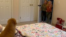 Heartfelt surprise: Little girls burst into tears as they meet their Golden Retriever puppy