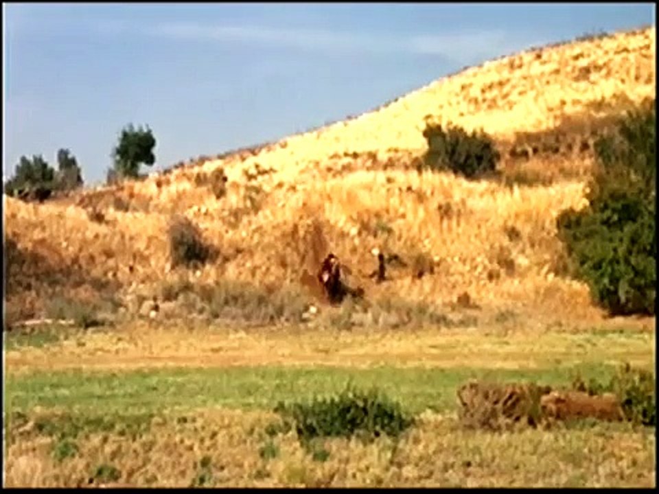 Daniel Boone Ep O Simbolo