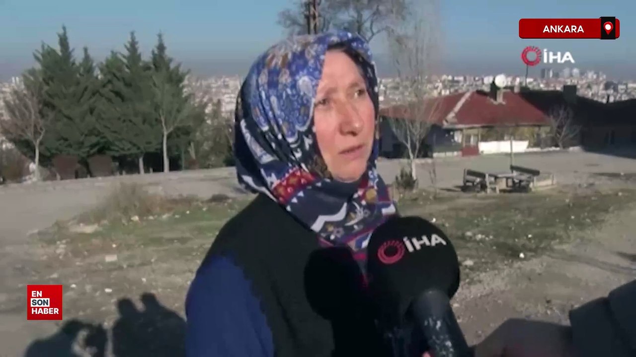 Ankara'da başıboş köpek sürüsünün saldırdığı kadın canını zor kurtardı