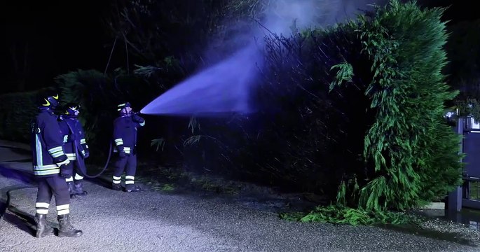 Gualdo, guasto elettrico: albero a fuoco e sei famiglie al buio