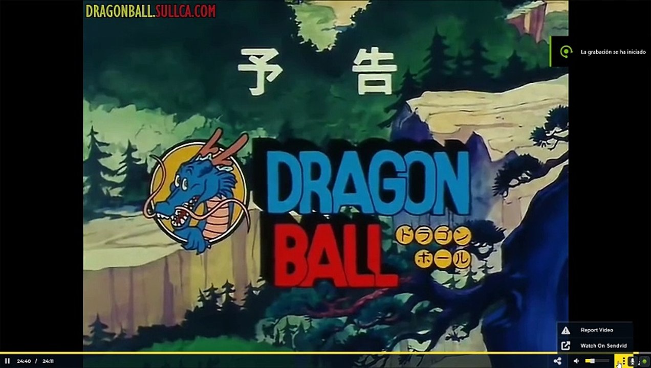 Dragon Ball Primeros Capitulos 6
