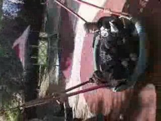 Marine et Luche 1: Une aventure captivante