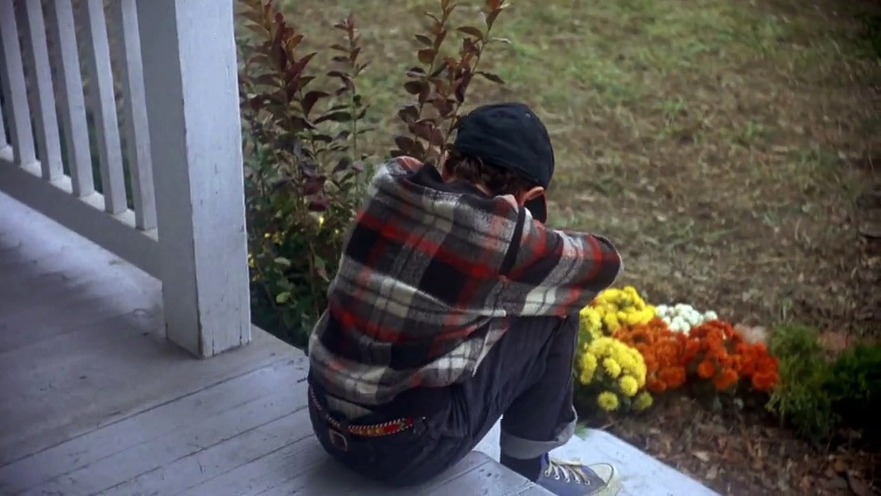 Manchmal kommen sie wieder