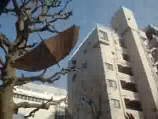 I feel Good Parody ( par Elie )