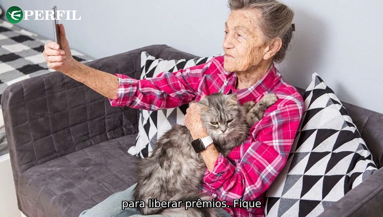 "Comunicado exclusivo: Descubra a melhor cidade para nômades digitais em 2025 e as opções do Cruzeiro para Renato Gaúcho!"