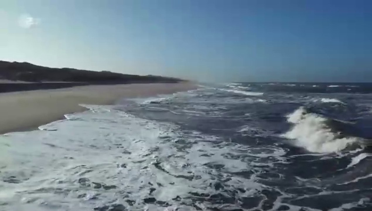 Nord Nord Mord -25- Sievers und der verlorene Hund