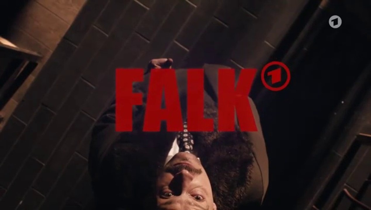 Falk -12- Rosa Rauschen