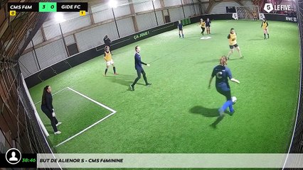 But de Alienor S - Cms Féminine