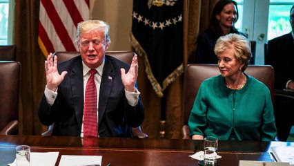 How billionaires worth a combined $450 billion will help Trump run America