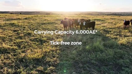 Moorabinda, Taroom, Qld | January 30, 2025 | Farmonline