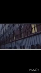 la canzone di Fedez con Masini a Sanremo bella stronza