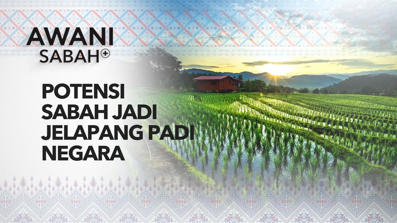 AWANI Sabah+: Potensi Sabah jadi jelapang padi negara