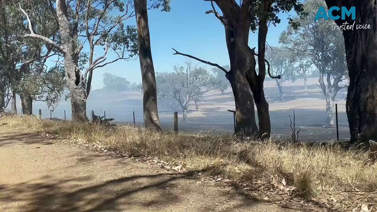 Firefighters are responding to a grass fire at Mia Mia.