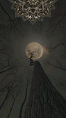 HYPOCRISY EXPOSED! Surah Al-Baqarah 2:8 WARNING 😱 (Are YOU Guilty?) #SurahBaqarah #HypocrisyInIslam