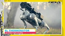 El Thermonator un perro fuera de serie