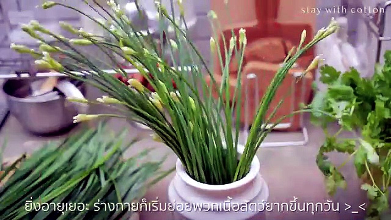 Vegetarian style cooking