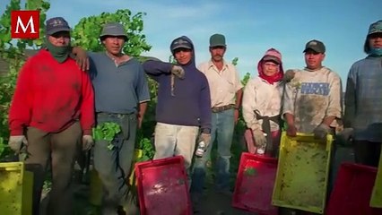 Estadunidense que se burló de deportaciones de mexicanos en EU habría sido despedida