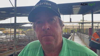 Leongatha Store Sale Highlights 🐄