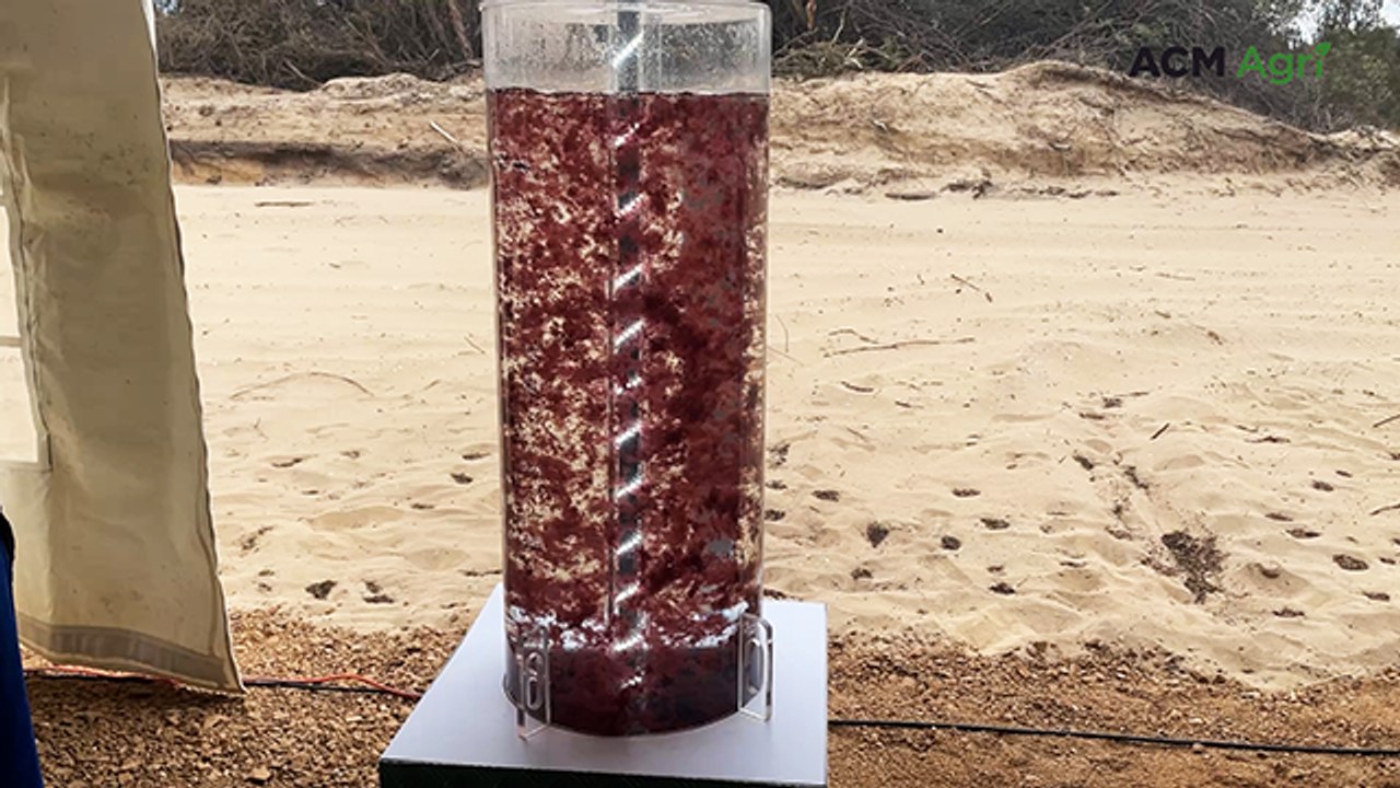 Louth Bay EcoPark launches seaweed to cut emissions
