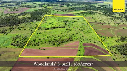 Woodlands, Pittsworth, Qld | January 30, 2025 | Farmonline